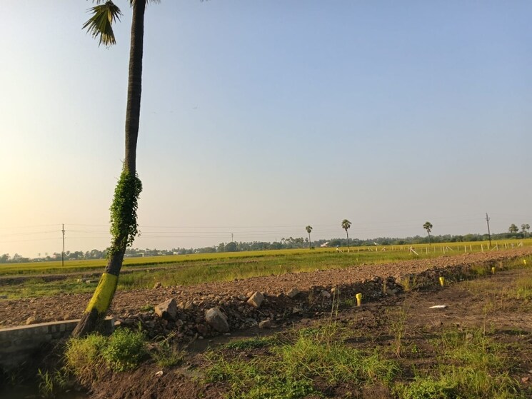 undefined, pamarru  180 Sq.Yd. Plot In Pamarru Vijayawada 9476712