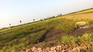 Plot Area in  Plot at Pamarru – for Sale