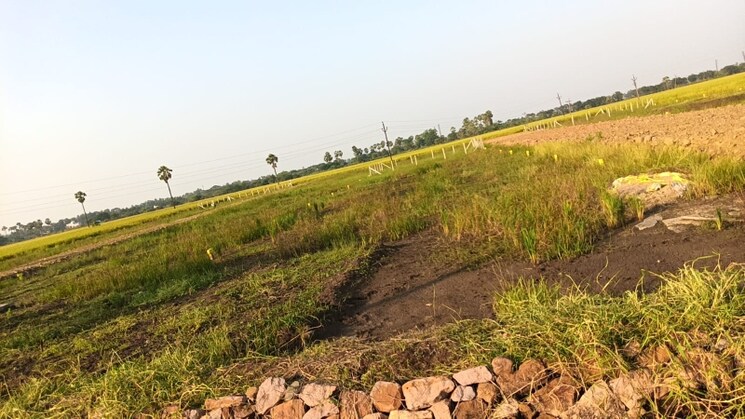 undefined, pamarru  180 Sq.Yd. Plot In Pamarru Vijayawada 9476712