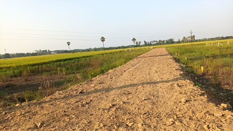 undefined, pamarru  180 Sq.Yd. Plot In Pamarru Vijayawada 9476712