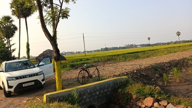 undefined, pamarru  180 Sq.Yd. Plot In Pamarru Vijayawada 9476712