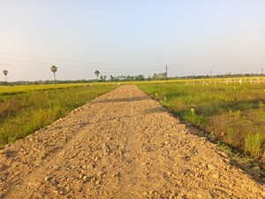 Plot Area in  Plot at Pamarru – for Sale