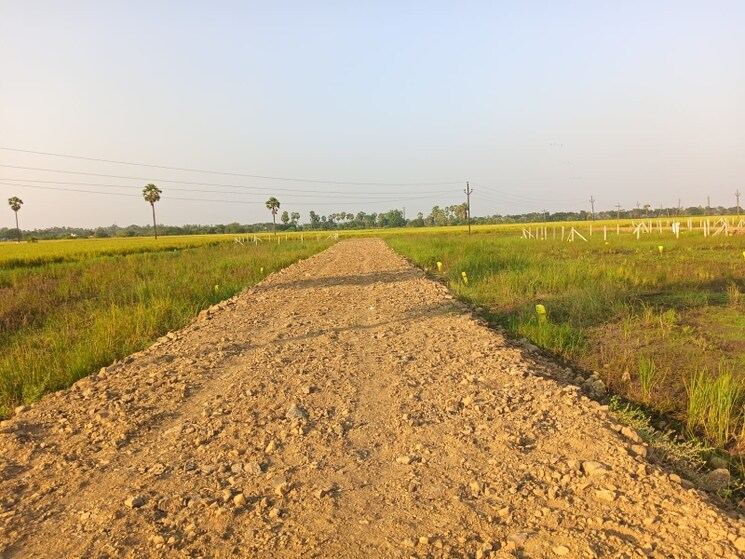 undefined, pamarru  180 Sq.Yd. Plot In Pamarru Vijayawada 9476712