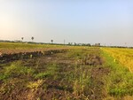 180 Sq.Yd. Plot in Pamarru