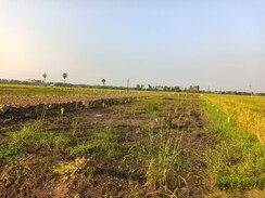 Plot For Sale in Pamarru