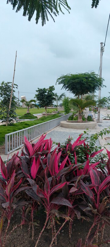  Plot – Exterior View View at Ujjain Road - for Sale