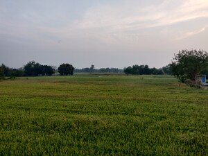  Land For Sale in Bhiwandi