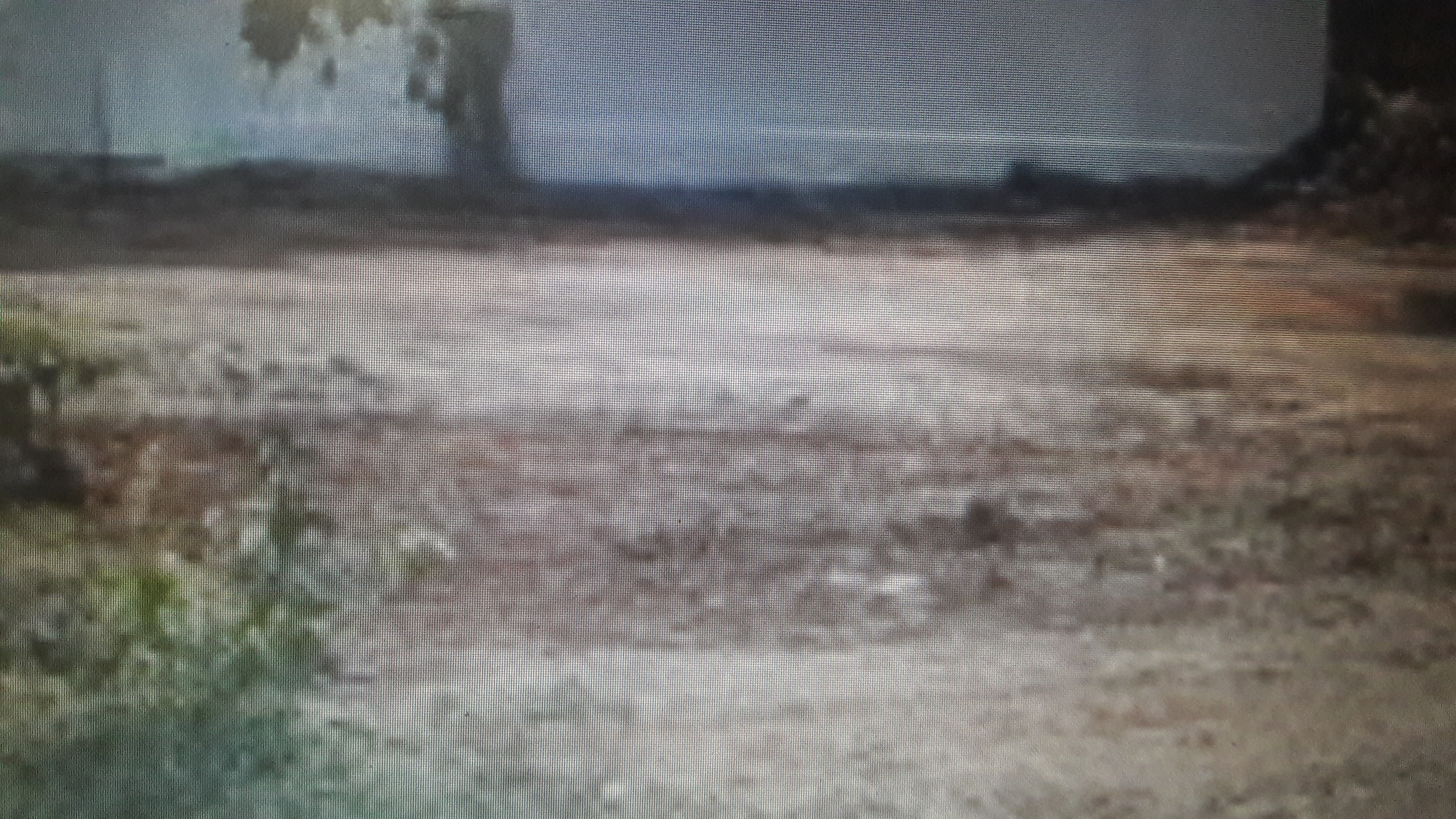 Plot For Sale in Cross Realtors