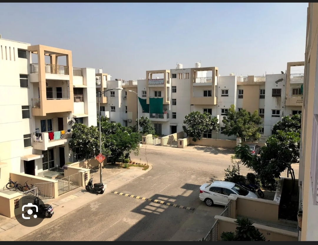 3 BHK + Pooja Room Builder Floor For Rent in BPTP Park Elite Floors Sector 88