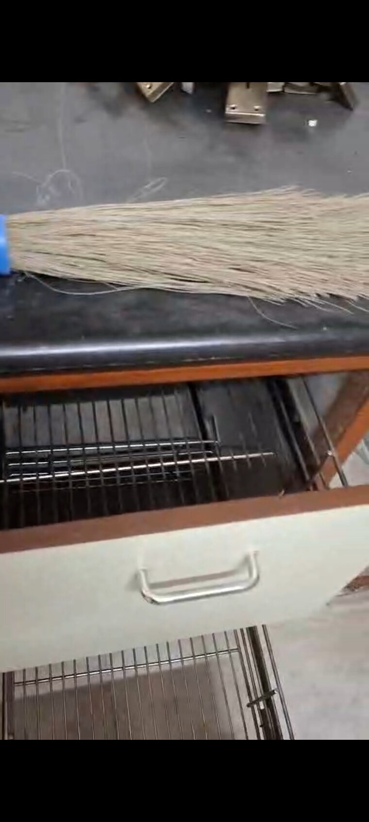 undefined, prashant vihar 2 Bedroom 800 Sq.Ft. Builder Floor In Prashant Vihar Delhi 9477567