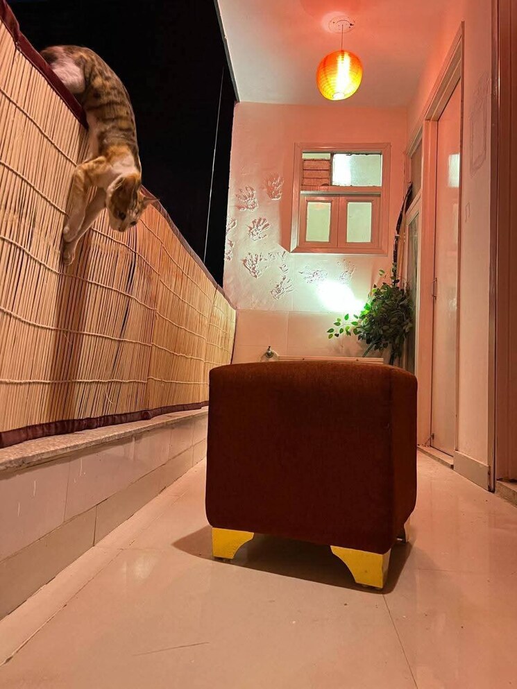 Balcony, saket 2 Bedroom 800 Sq.Ft. Builder Floor In Saket Delhi 9477703