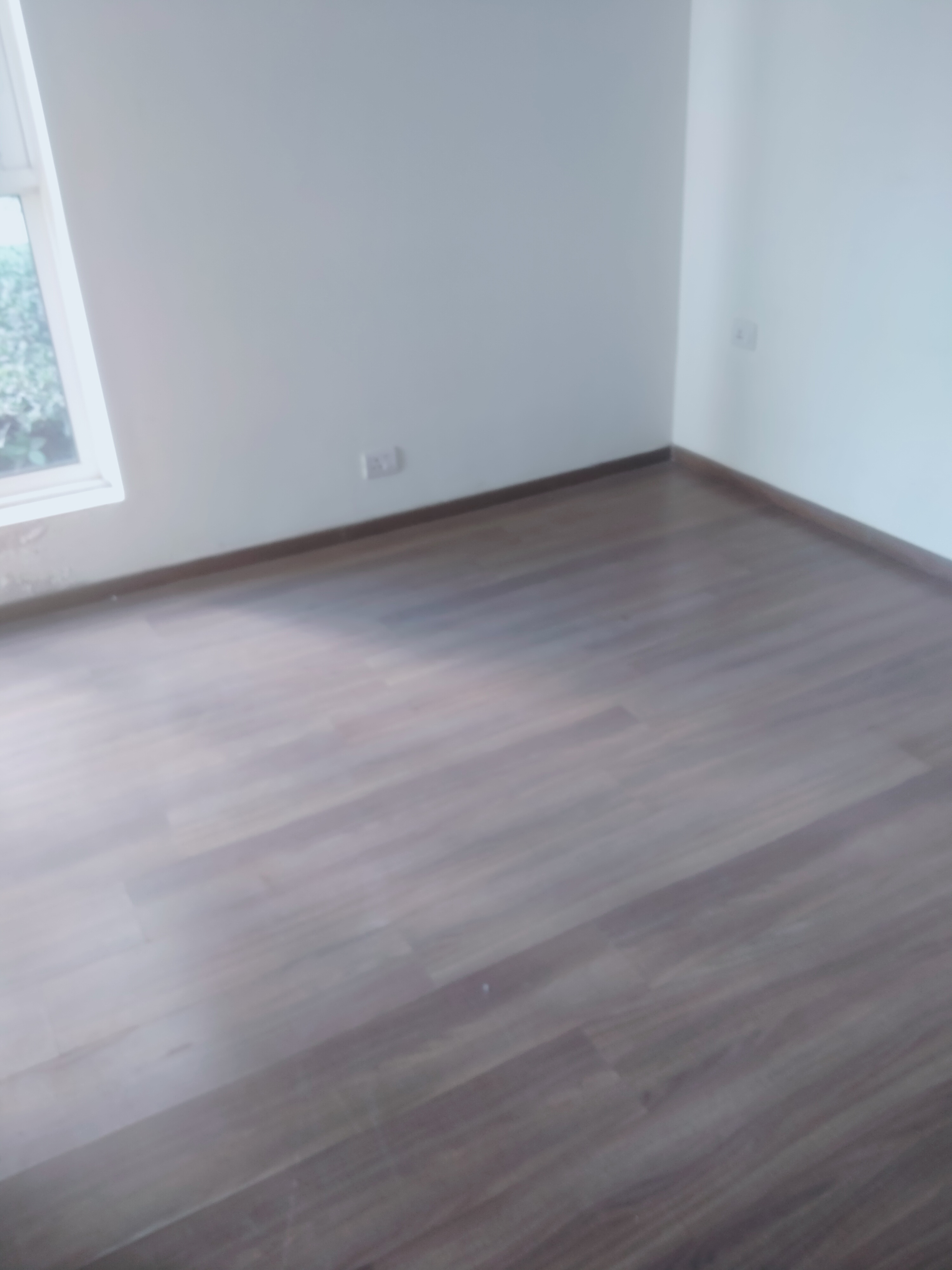 4 BHK + Servant Room Apartment For Rent in Pioneer Park Phase 1