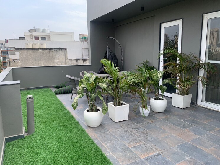 Exterior View, sector 43 1 Bedroom 845 Sq.Ft. Builder Floor In Sector 43 Gurgaon 9478308