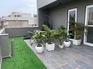 Parking in 1 BHK Builder Floor at Sector 43 – for Rent