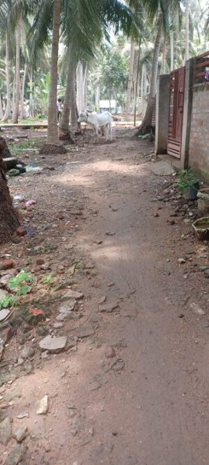 Plot Area in  Plot at Nh 216 – for Sale