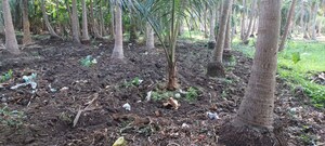  Plot For Sale in Nh 216