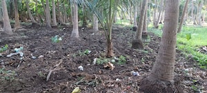 Plot Area in  Plot at Nh 216 – for Sale