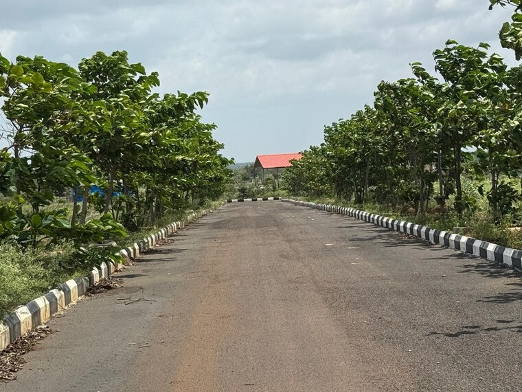 undefined, mominpet  325 Sq.Ft. Plot In Mominpet Vikarabad 9478548