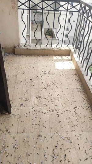 Balcony in 2 BHK Apartment at Lotus Apartment Nalasopara West, Nalasopara West – for Sale