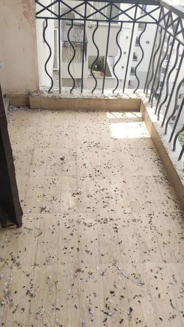 Balcony, lotus-apartment-nalasopara-west 2 Bedroom 750 Sq.Ft. Apartment In Nalasopara West Palghar 9478490