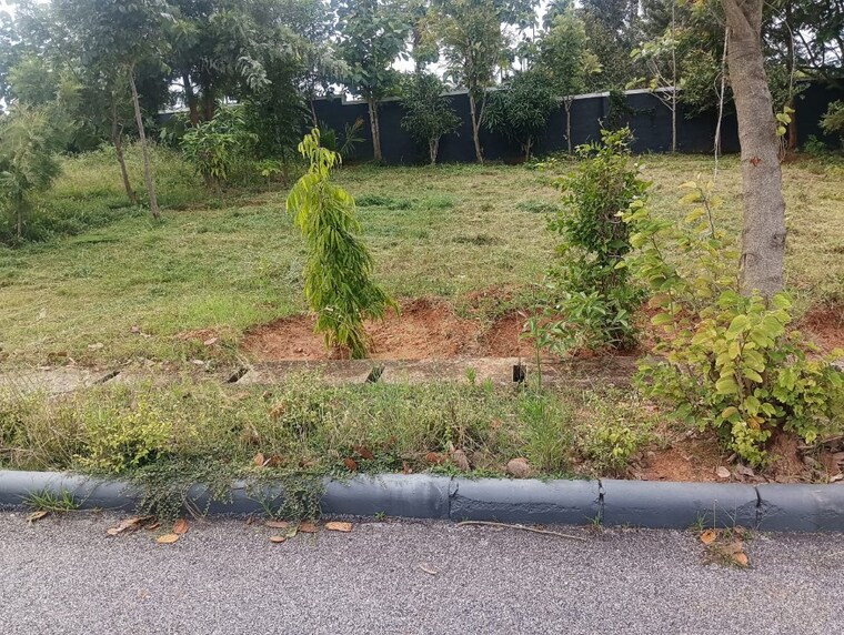 undefined, reddygollavarahalli  1200 Sq.Ft. Plot In Reddygollavarahalli Chikkaballapur 9478590