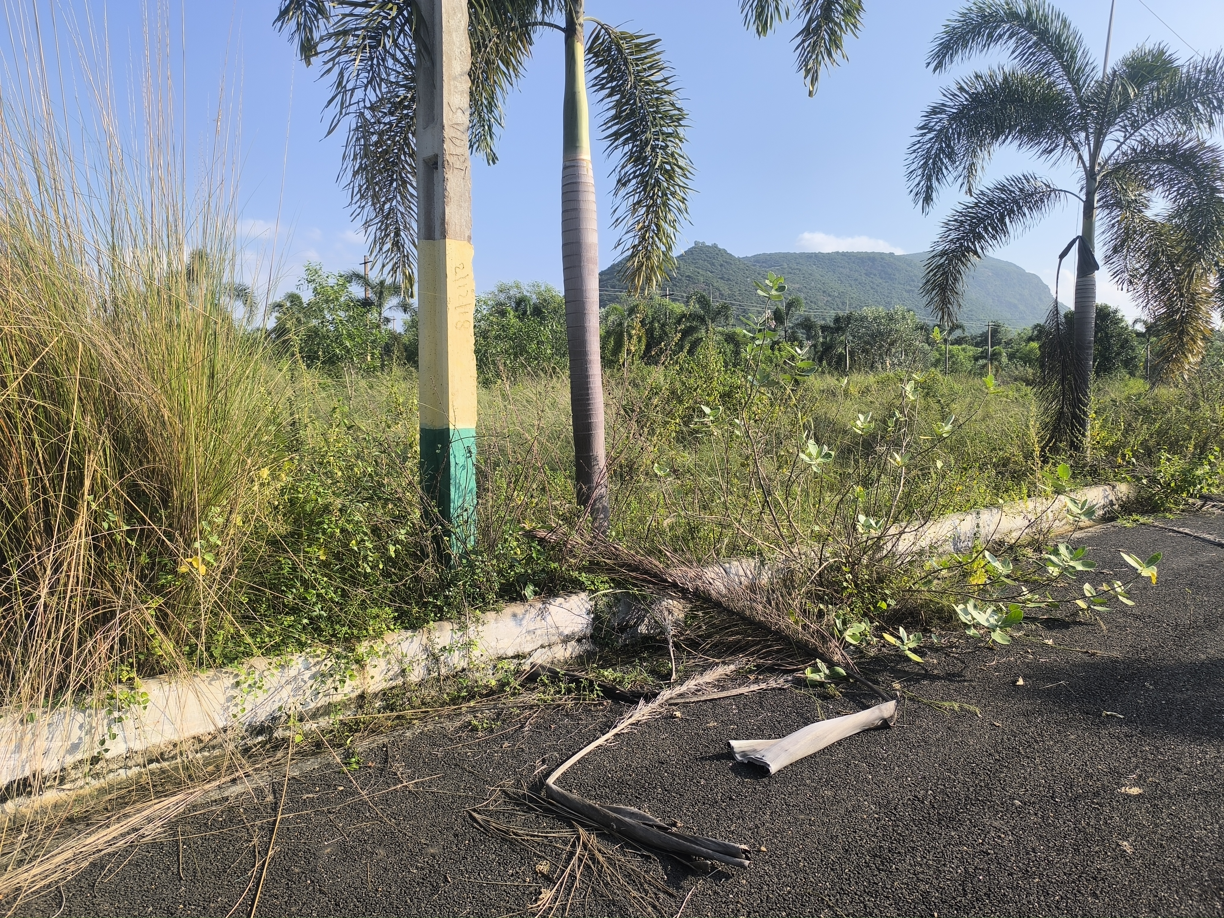 Plot For Sale in Anandapuram