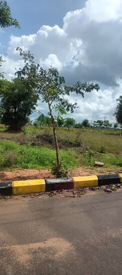 Plot For Sale in Fortune Butterfly City