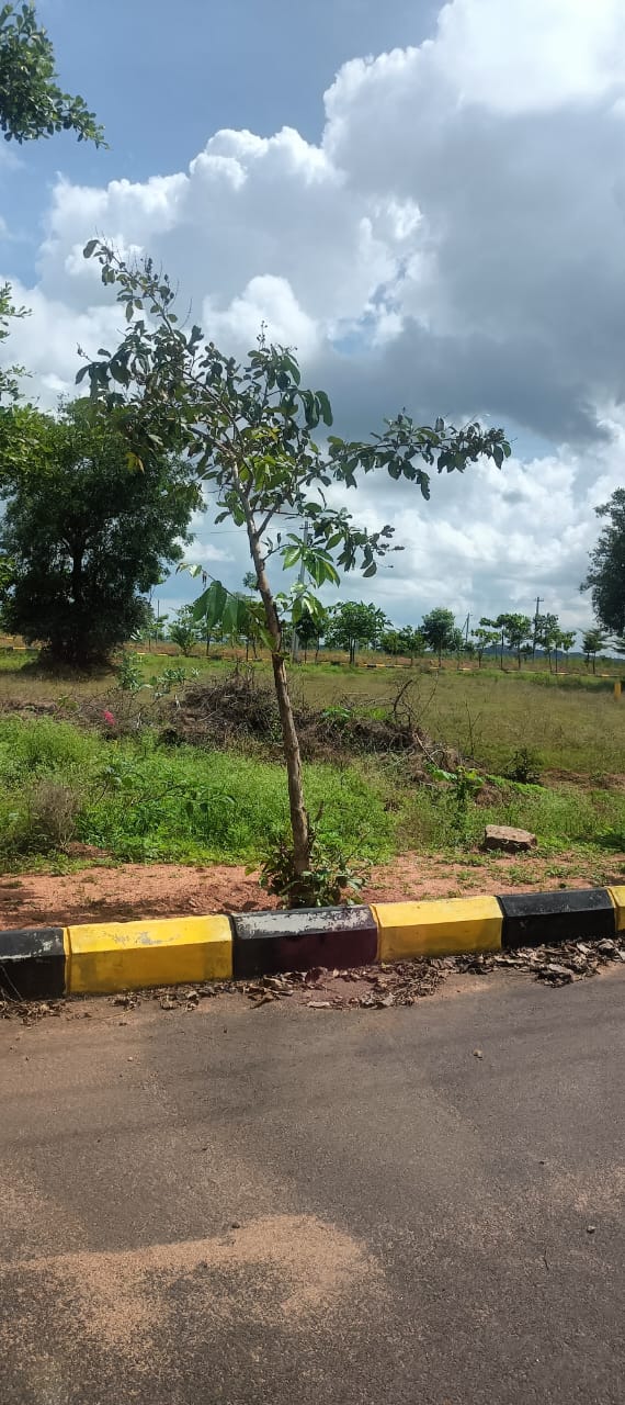 Plot For Sale in Fortune Butterfly City