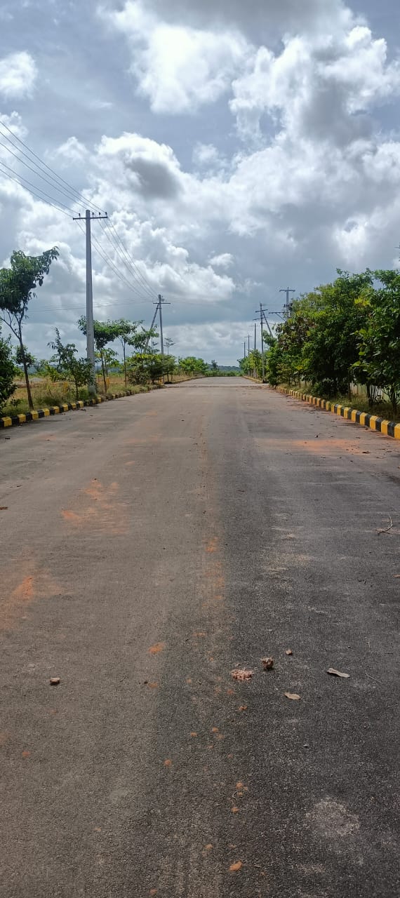 Plot For Sale in Fortune Butterfly City