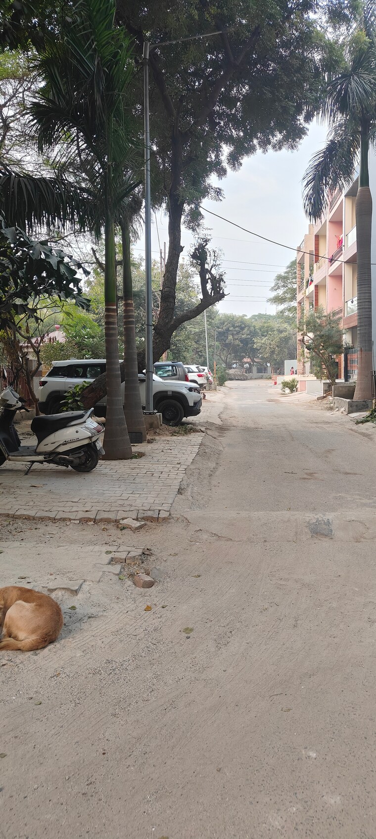  Parking, palam-vihar-residents-association 6 Bedroom 2500 Sq.Ft. Independent House In Palam Vihar Gurgaon 9479222