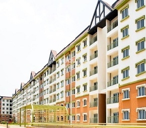 3 BHK + Pooja Room Apartment For Rent in SJR Hamilton Homes