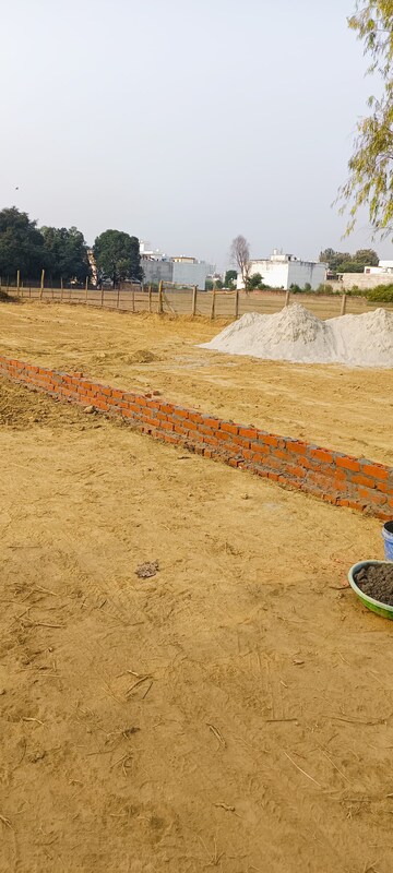 Plot Area in  Plot at Kamta – for Sale