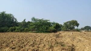 Plot Area in  Plot at Raebareli Road – for Sale