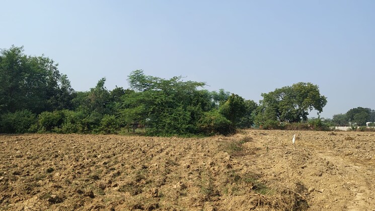 undefined, raebareli road  1846 Sq.Ft. Plot In Raebareli Road Lucknow 9479949