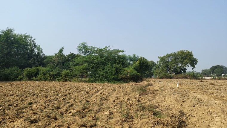 undefined, raebareli road  1846 Sq.Ft. Plot In Raebareli Road Lucknow 9479949