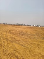 100 Sq.Yd. Plot in Golden City 
