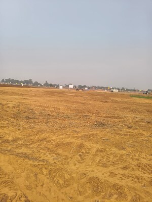 Plot Area in  Plot at Sujanpur – for Sale