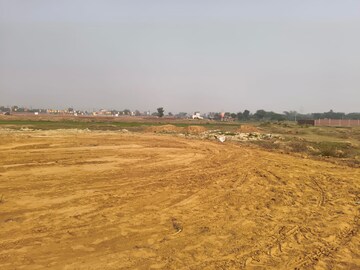 Plot Area in  Plot at Sujanpur – for Sale