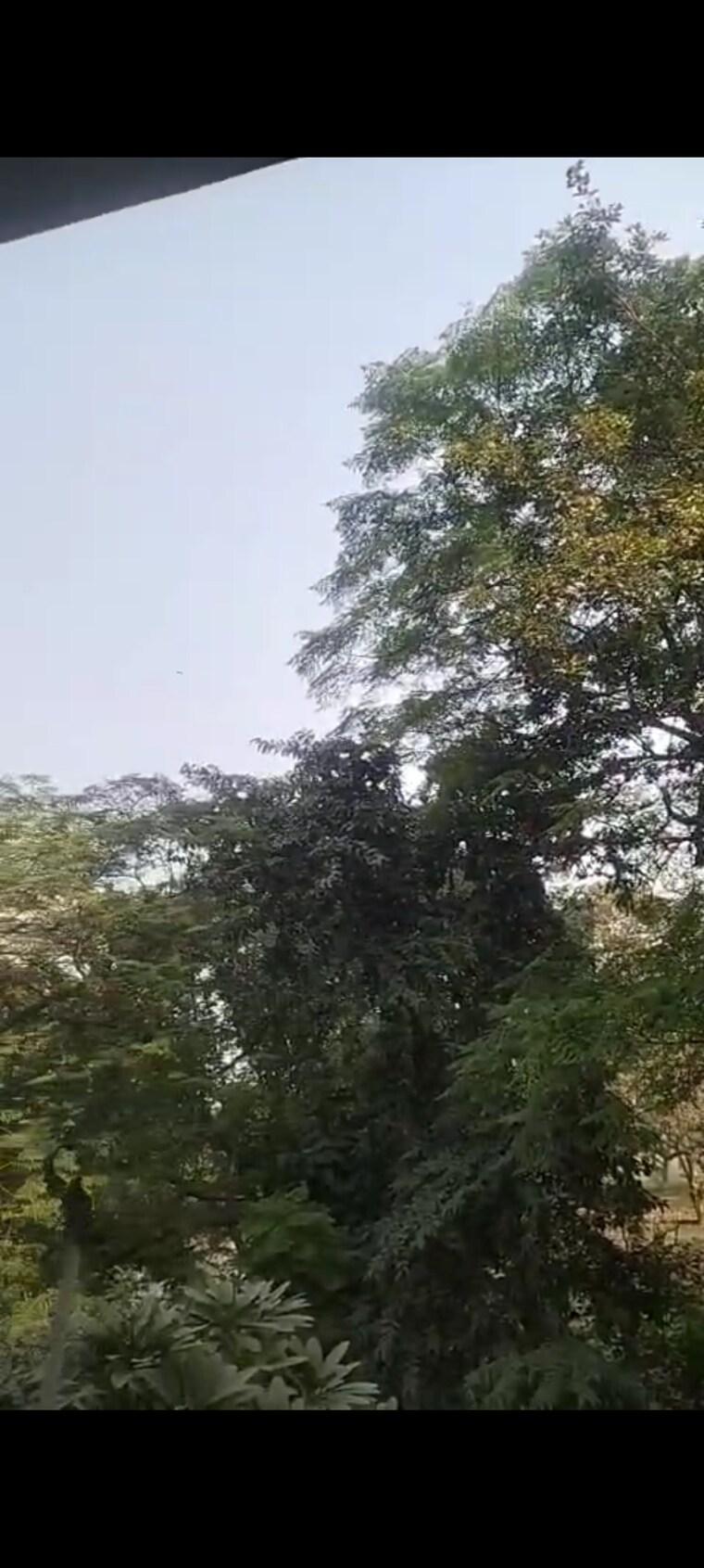 Garden, vasant kunj 3 Bedroom 1400 Sq.Ft. Apartment In Vasant Kunj Delhi 9480807