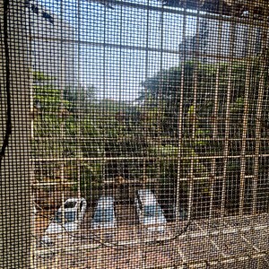 Balcony in 3 BHK Apartment at New Mhada Towers, Sv Patel Nagar – for Rent