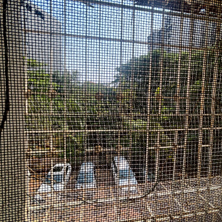 Balcony, new-mhada-towers 3 Bedroom 1000 Sq.Ft. Apartment In Sv Patel Nagar Mumbai 9480851