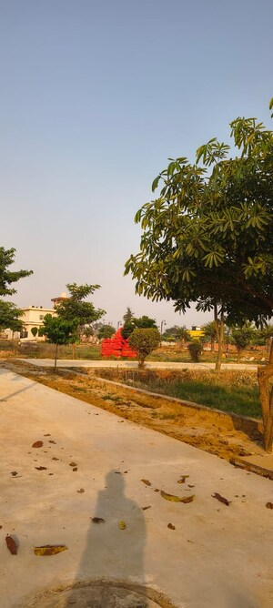  Plot – Garden View at Sujanpur - for Sale