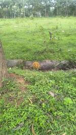 4800 Sq.Ft. Plot in Rk Farm 125