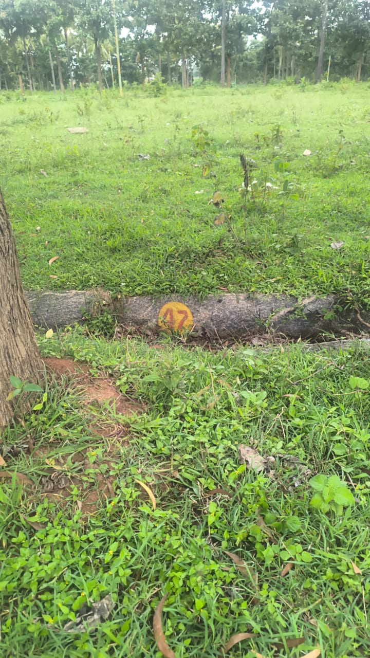 Plot For Sale in Rk Farm 125