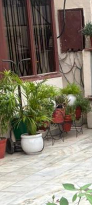 6 BHK Independent House – Garden View at RWA Apartments, Sector 31 - for Sale