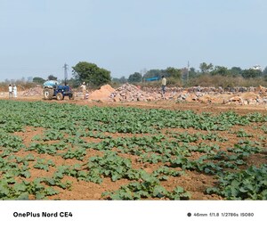  Land For Sale in Sohna