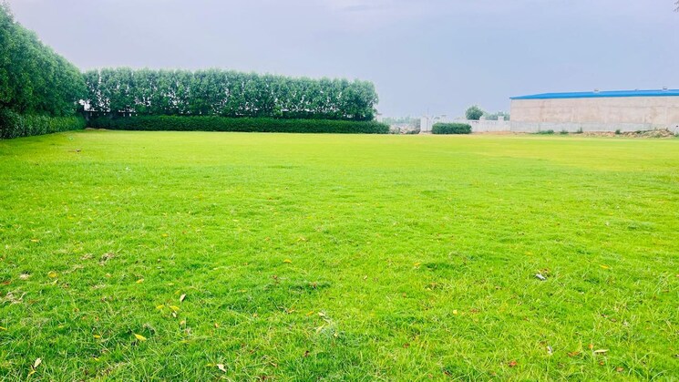 Garden, rahmatnagar  1600 Sq.Ft. Plot In Rahmatnagar Lucknow 9482795