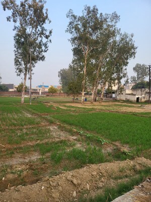  Plot For Sale in Ecotech Iii Greater Noida