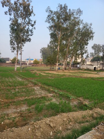  Plot For Sale in Ecotech Iii Greater Noida