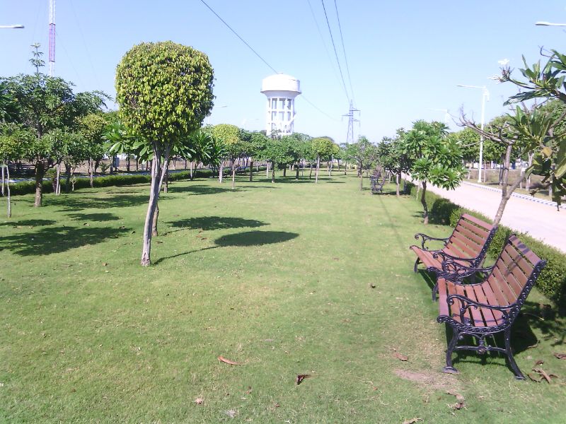 Plot For Sale in Omaxe CitY-1